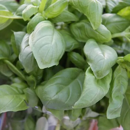 Loimaan Seurahuone 3*